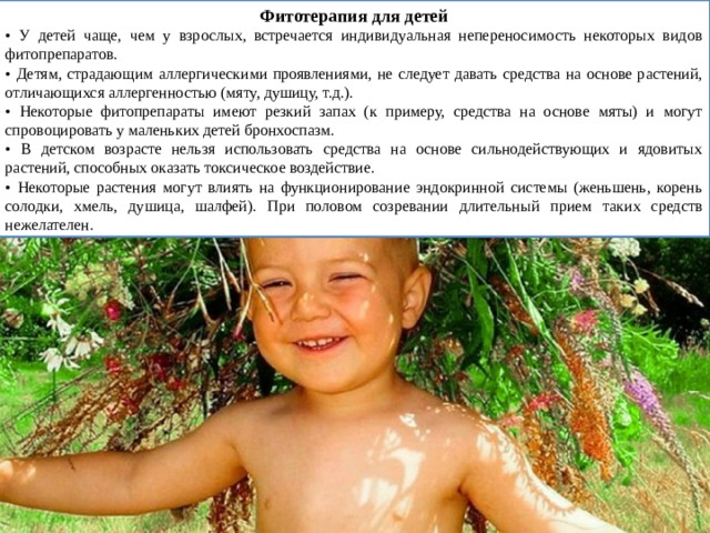 Фитотерапия для детей • У детей чаще, чем у взрослых, встречается индивидуальная непереносимость некоторых видов фитопрепаратов. • Детям, страдающим аллергическими проявлениями, не следует давать средства на основе растений, отличающихся аллергенностью (мяту, душицу, т.д.). • Некоторые фитопрепараты имеют резкий запах (к примеру, средства на основе мяты) и могут спровоцировать у маленьких детей бронхоспазм. • В детском возрасте нельзя использовать средства на основе сильнодействующих и ядовитых растений, способных оказать токсическое воздействие. • Некоторые растения могут влиять на функционирование эндокринной системы (женьшень, корень солодки, хмель, душица, шалфей). При половом созревании длительный прием таких средств нежелателен. 