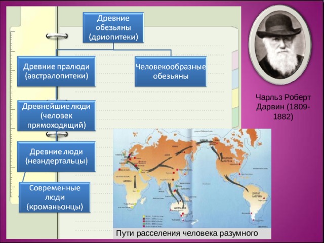 Чарльз Роберт Дарвин (1809-1882) Пути расселения человека разумного 