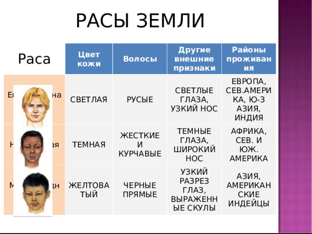 РАСЫ ЗЕМЛИ Раса Цвет кожи Европеоидная Негроидная Волосы СВЕТЛАЯ Монголоидная ТЕМНАЯ РУСЫЕ Другие внешние признаки СВЕТЛЫЕ ГЛАЗА, УЗКИЙ НОС Районы проживания ЖЕСТКИЕ И КУРЧАВЫЕ ЖЕЛТОВАТЫЙ ЕВРОПА, СЕВ.АМЕРИКА, Ю-З АЗИЯ, ИНДИЯ ТЕМНЫЕ ГЛАЗА, ШИРОКИЙ НОС ЧЕРНЫЕ ПРЯМЫЕ АФРИКА, СЕВ. И ЮЖ. АМЕРИКА УЗКИЙ РАЗРЕЗ ГЛАЗ, ВЫРАЖЕННЫЕ СКУЛЫ АЗИЯ, АМЕРИКАНСКИЕ ИНДЕЙЦЫ 