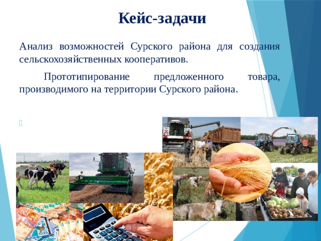 Кейс-задачи Анализ возможностей Сурского района для создания сельскохозяйственных кооперативов.  Прототипирование предложенного товара, производимого на территории Сурского района. 