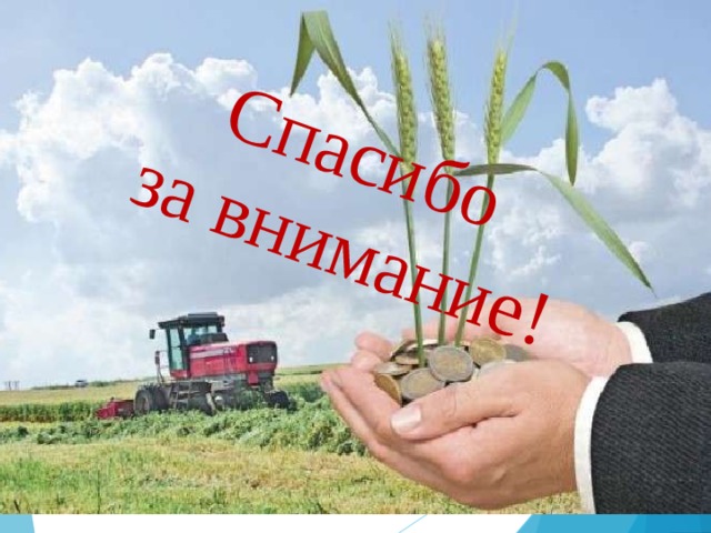 Спасибо  за внимание! 