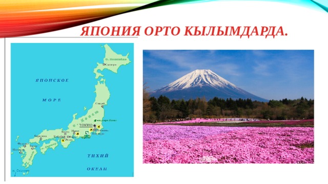 Япония орто кылымдарда. 