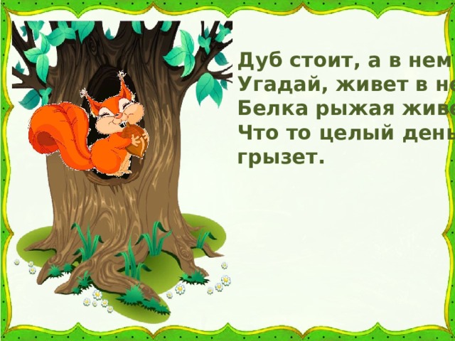 Дуб стоит, а в нем дупло. Угадай, живет в нем кто? Белка рыжая живет, Что то целый день грызет. 