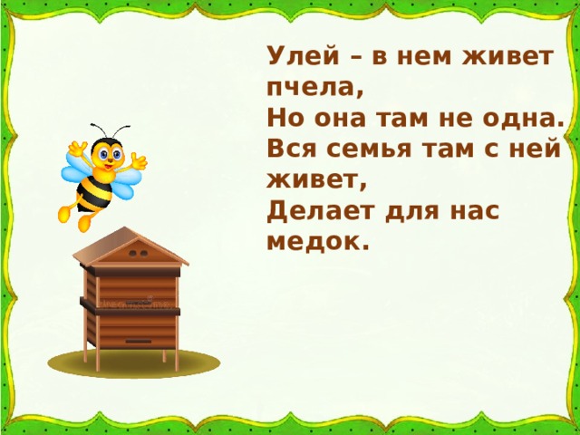 Улей – в нем живет пчела, Но она там не одна. Вся семья там с ней живет, Делает для нас медок. 