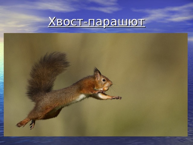 Хвост-парашют 