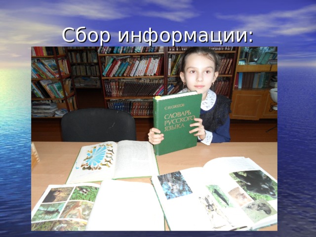 Сбор информации: 