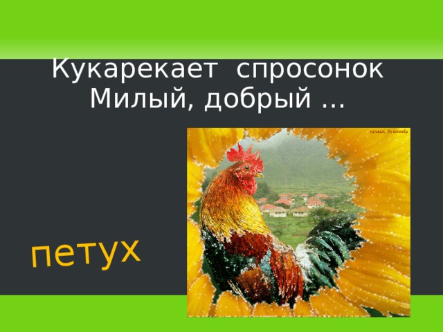 петух Кукарекает спросонок Милый, добрый ...   