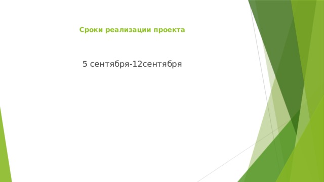  Сроки реализации проекта      5 сентября-12сентября 