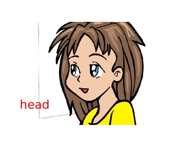 head 