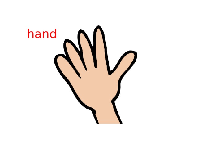 hand 