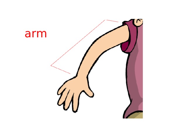 arm 