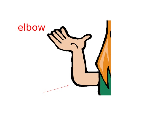 elbow 