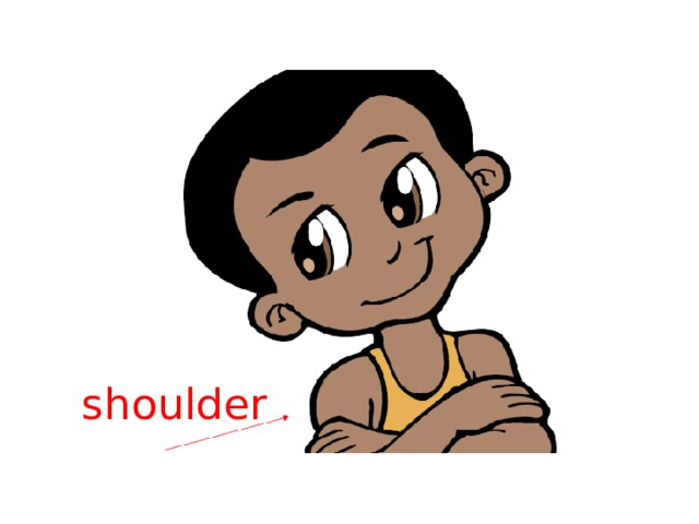 shoulder 