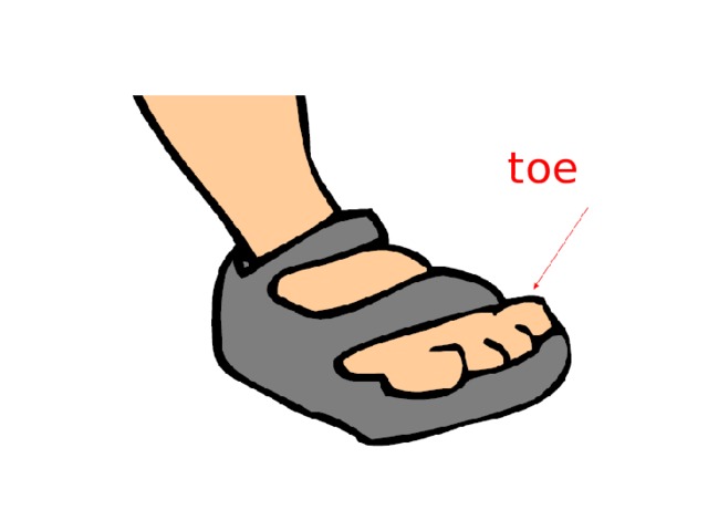 toe 