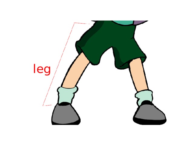 leg 