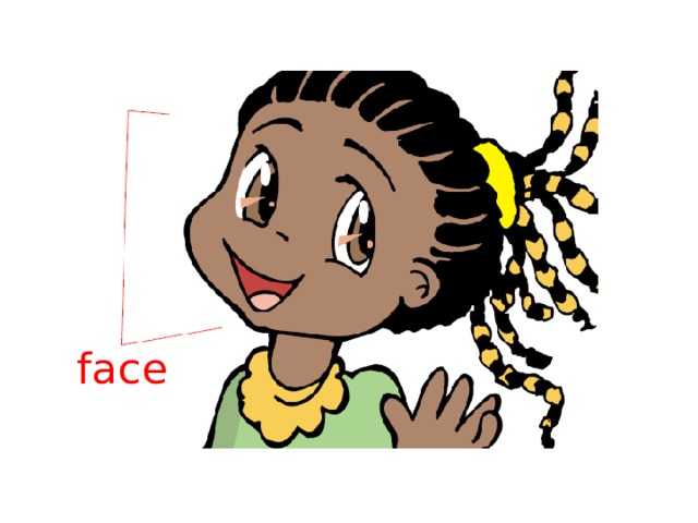 face 