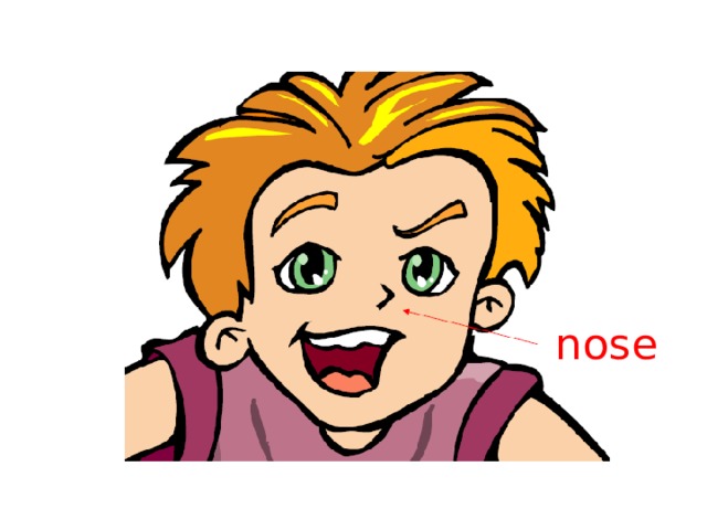 nose 