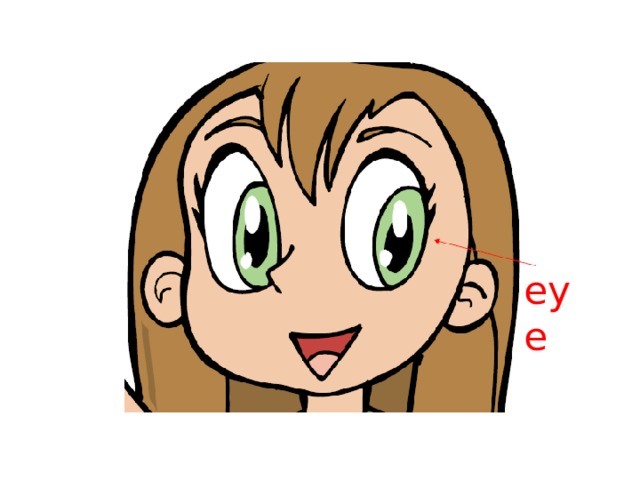 eye 