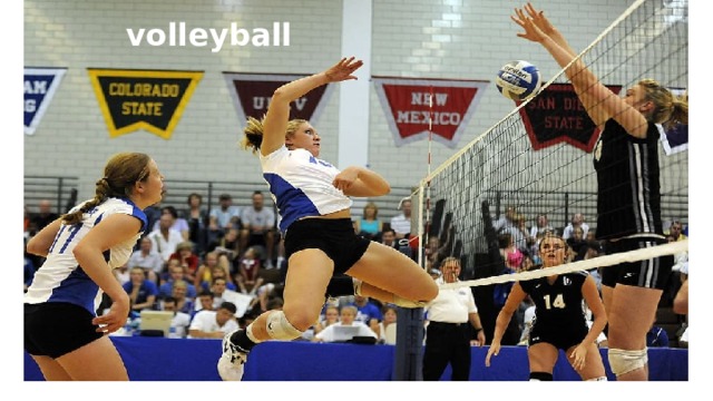 volleyball 
