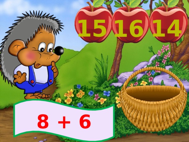 15 14 16 8 + 6 