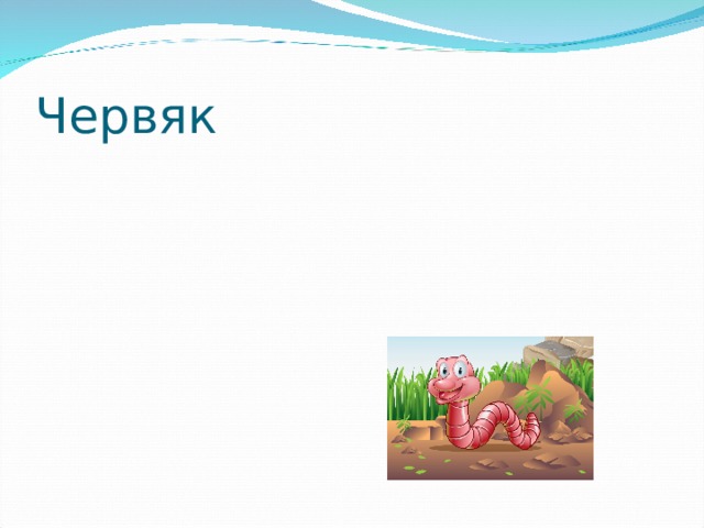 Червяк