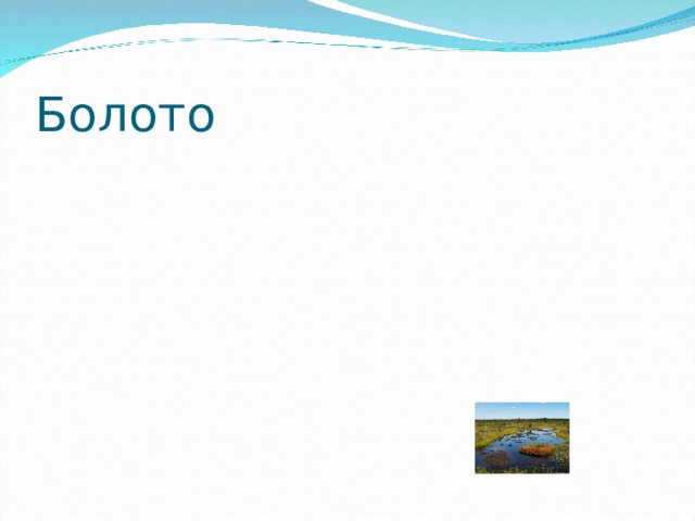 Болото