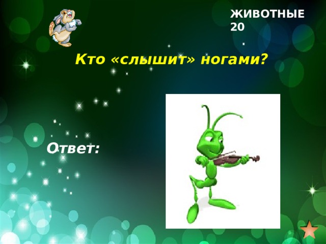 ЖИВОТНЫЕ 20 Кто «слышит» ногами? Ответ: 
