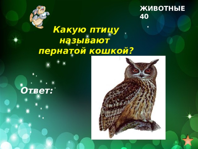 ЖИВОТНЫЕ 40 Какую птицу называют пернатой кошкой? Ответ: 