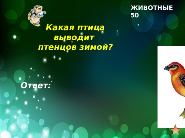 ЖИВОТНЫЕ 50 Какая птица выводит птенцов зимой? Ответ: 