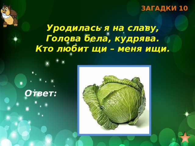 ЗАГАДКИ 10 Уродилась я на славу, Голова бела, кудрява. Кто любит щи – меня ищи. Ответ: 