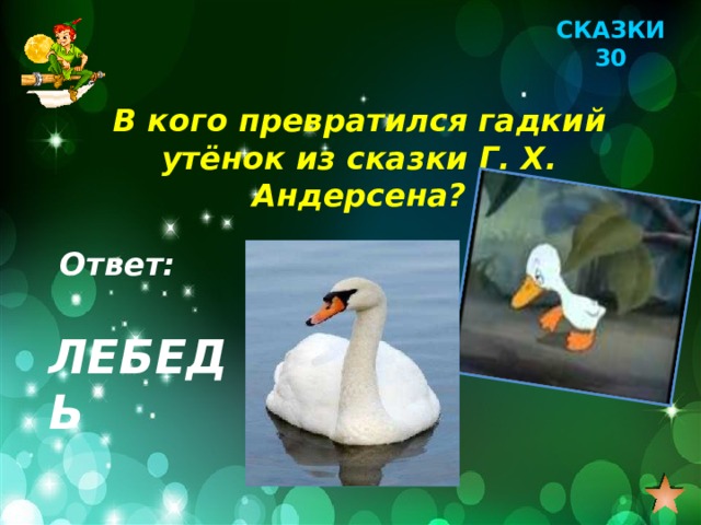 СКАЗКИ 30 В кого превратился гадкий утёнок из сказки Г. Х. Андерсена? Ответ: ЛЕБЕДЬ 