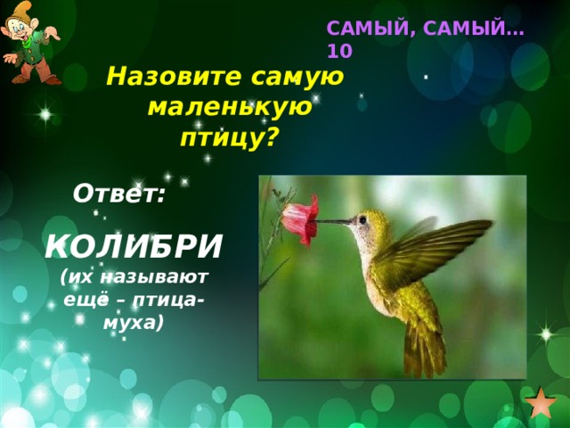 САМЫЙ, САМЫЙ… 10 Назовите самую маленькую птицу? Ответ: КОЛИБРИ (их называют ещё – птица-муха) 
