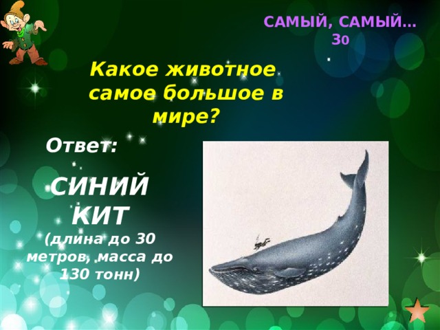 САМЫЙ, САМЫЙ… 3 0 Какое животное самое большое в мире? Ответ: СИНИЙ КИТ (длина до 30 метров, масса до 130 тонн) 