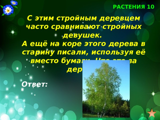РАСТЕНИЯ 10 С этим стройным деревцем часто сравнивают стройных девушек. А ещё на коре этого дерева в старину писали, используя её вместо бумаги. Что это за дерево? Ответ: 