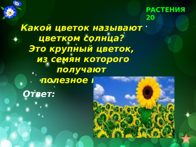 РАСТЕНИЯ 20 Какой цветок называют цветком солнца? Это крупный цветок, из семян которого получают полезное масло. Ответ: 