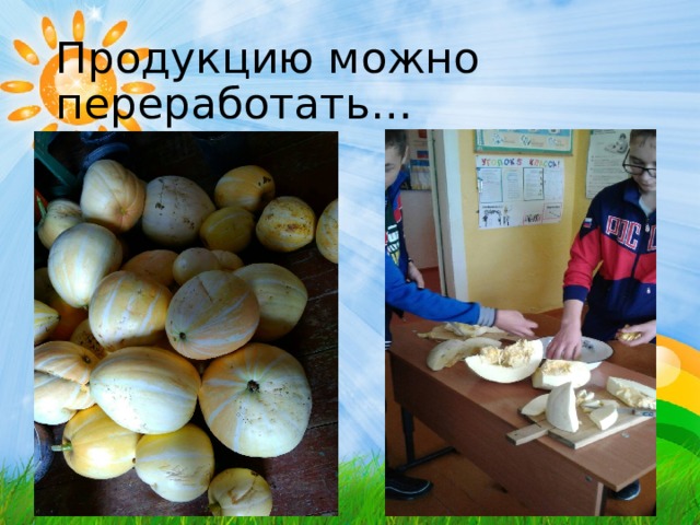 Продукцию можно переработать… 