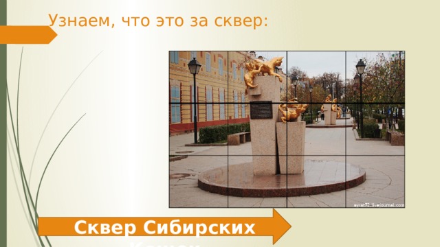 Узнаем, что это за сквер: Сквер Сибирских Кошек 