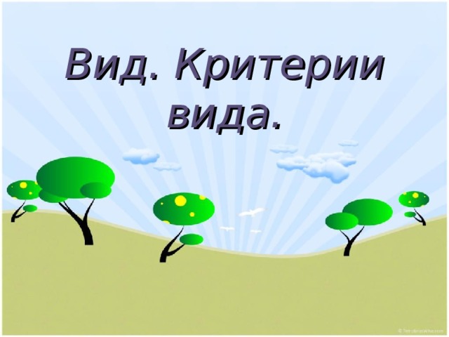 Вид. Критерии вида. 