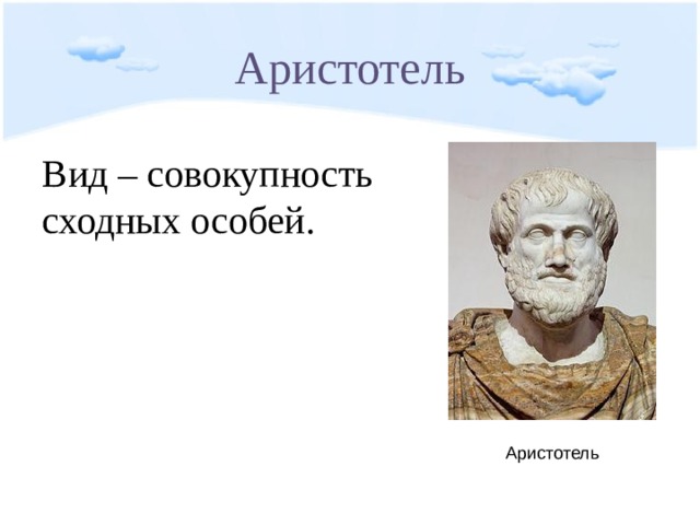 Аристотель Вид – совокупность сходных особей. Аристотель 