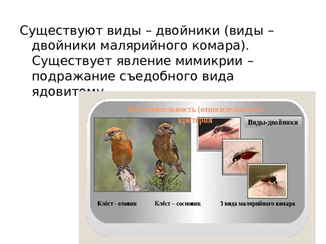 Существуют виды – двойники (виды – двойники малярийного комара). Существует явление мимикрии – подражание съедобного вида ядовитому. 