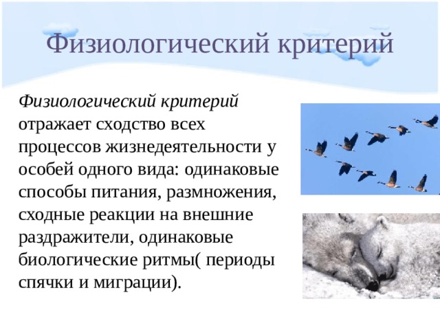 Физиологический критерий Физиологический критерий отражает сходство всех процессов жизнедеятельности у особей одного вида: одинаковые способы питания, размножения, сходные реакции на внешние раздражители, одинаковые биологические ритмы( периоды спячки и миграции). 