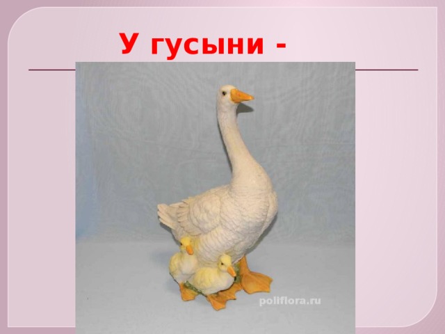  У гусыни - 