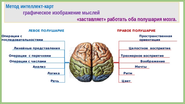 Метод интеллект-карт  графическое изображение мыслей «заставляет» работать оба полушария мозга. ПРАВОЕ ПОЛУШАРИЕ ЛЕВОЕ ПОЛУШАРИЕ Операции с Пространственная последовательностями ориентация Целостное восприятие Линейные представления Операции с перечнями Трехмерное восприятие Операции с числами Воображение Мечты Анализ Ритм Логика Цвет Речь  