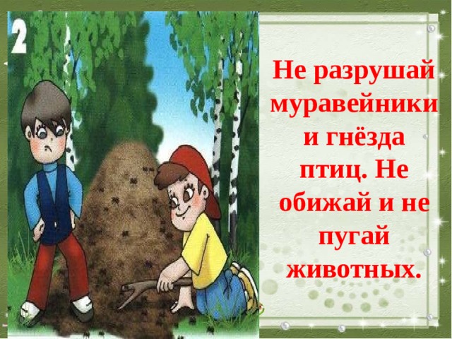 Не разрушай муравейники и гнёзда птиц. Не обижай и не пугай животных. 
