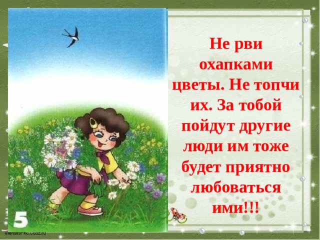 Не рви охапками цветы. Не топчи их. За тобой пойдут другие люди им тоже будет приятно любоваться ими!!! 