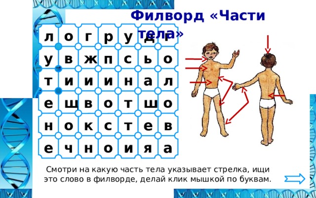  Филворд «Части тела» г л г д у о р с в у п ь ж о л и и а н и т щ ш е т о в о в н е т с к о е а я и о н ч Смотри на какую часть тела указывает стрелка, ищи это слово в филворде, делай клик мышкой по буквам. 