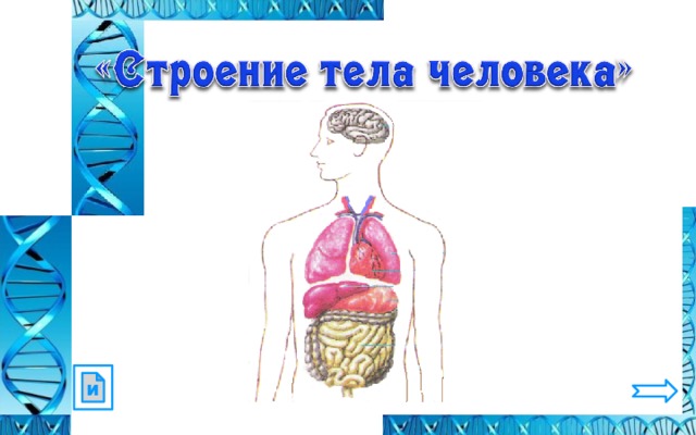 и 