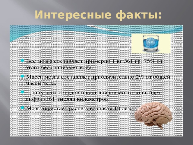 Интересные факты: 
