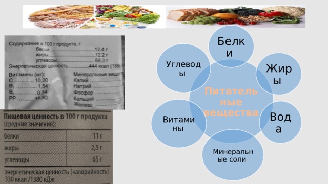 Белки Углеводы Жиры Питательные вещества Витамины  Вода Минеральные соли 