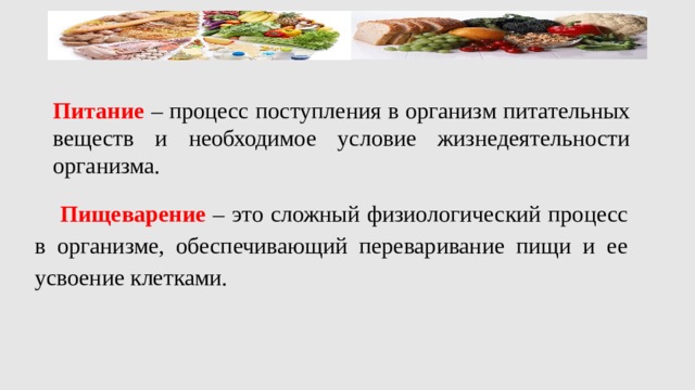 Питание – процесс поступления в организм питательных веществ и необходимое условие жизнедеятельности организма. Пищеварение  – это сложный физиологический процесс в организме, обеспечивающий переваривание пищи и ее усвоение клетками. 
